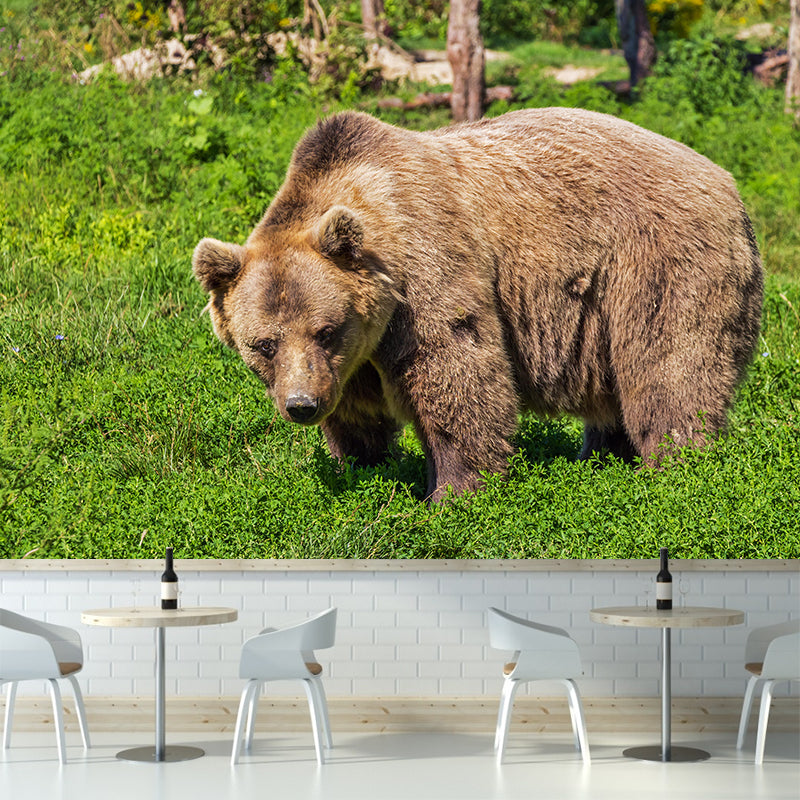 Modern Bear Mural Wall Decor Mildew Resistant Living Room Wall Mural Wall Art