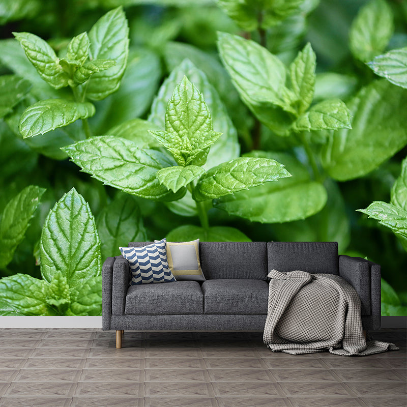 Customized Modern Plants Mural Wallpaper with Cool Mint Leaves Pattern Mildew Resistant