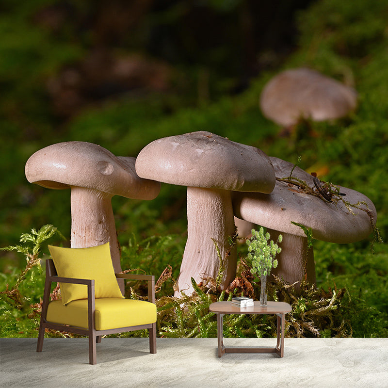 Photography Toadstool Mural Wallpaper Eco-friendly Contemporary Wall Murals