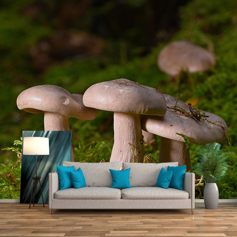 Photography Toadstool Mural Wallpaper Eco-friendly Contemporary Wall Murals