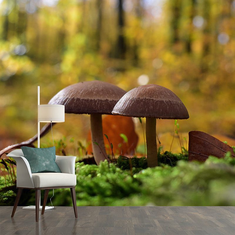 Photography Toadstool Mural Wallpaper Eco-friendly Contemporary Wall Murals