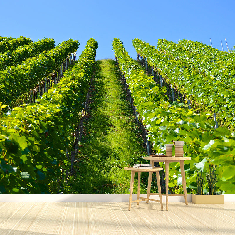 Customized Modern Grapevine Mural Wallpaper Green Plants Mildew Resistant