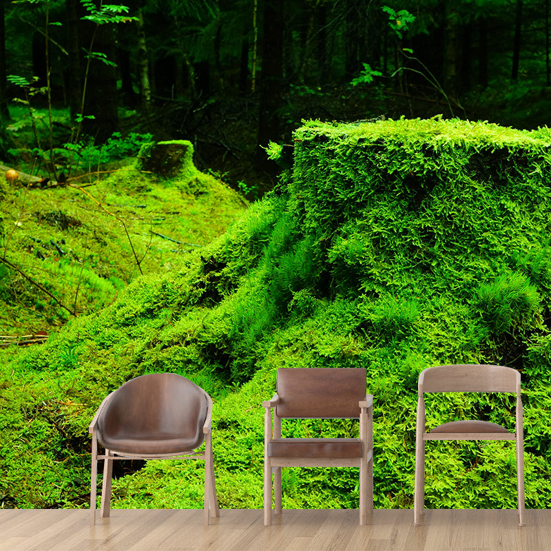 Bright Color Moss Painting Mural Decal Modern Stain-Proof Wall Covering