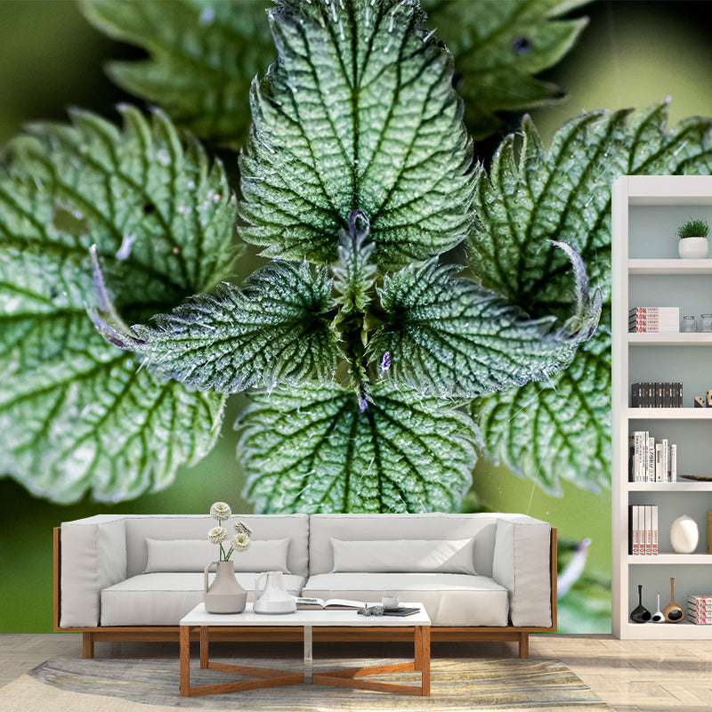 Customized Medicinal Plants Mural Wallpaper Nettle Painting Mildew Resistant