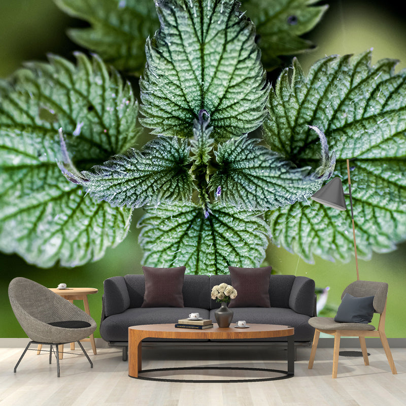 Customized Medicinal Plants Mural Wallpaper Nettle Painting Mildew Resistant