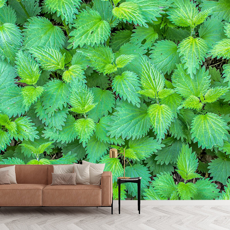 Customized Medicinal Plants Mural Wallpaper Nettle Painting Mildew Resistant