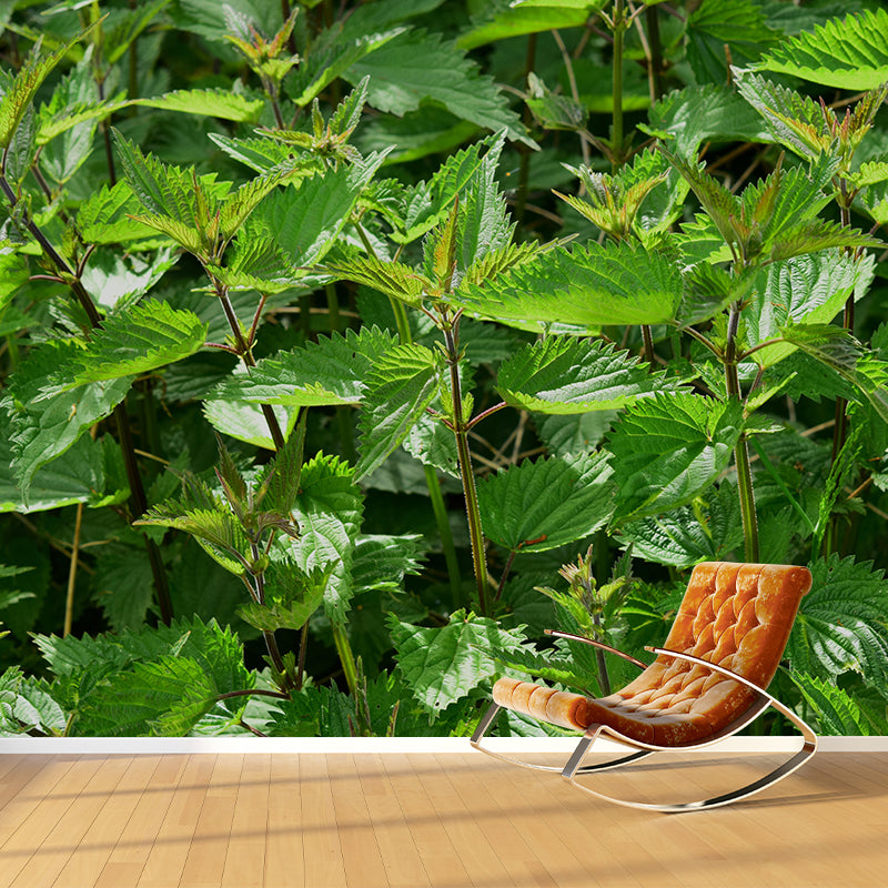 Customized Medicinal Plants Mural Wallpaper Nettle Painting Mildew Resistant