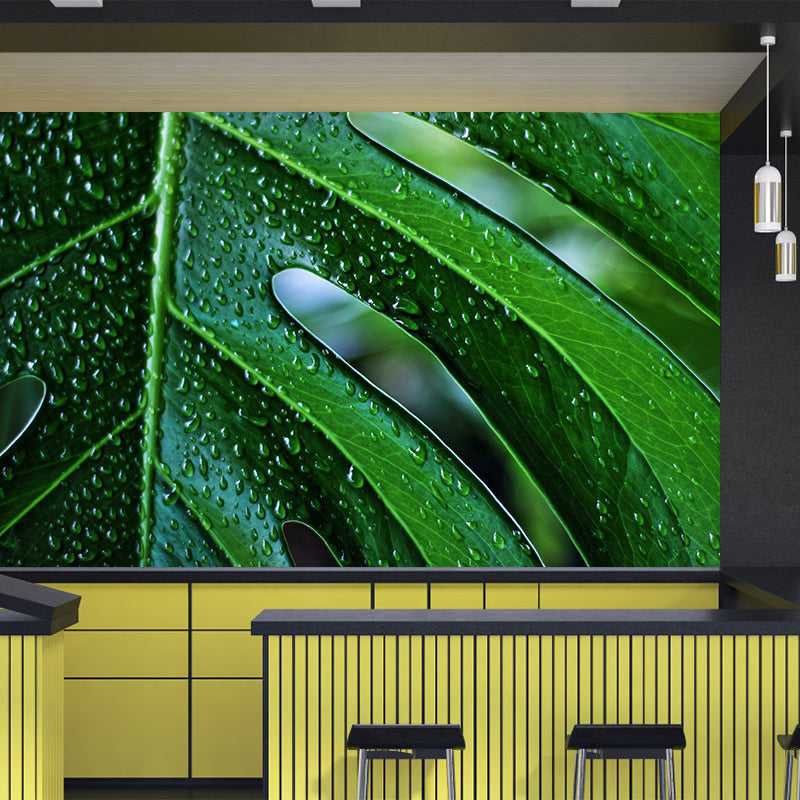 Customized Tropical Monstera Mural Wallpaper Kitchen Murals Backsplash Mildew Resistant