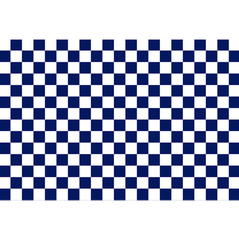 Minimalist Checkered Print Rug Polyester Area Carpet Stain Resistant Carpet for Home Decoration