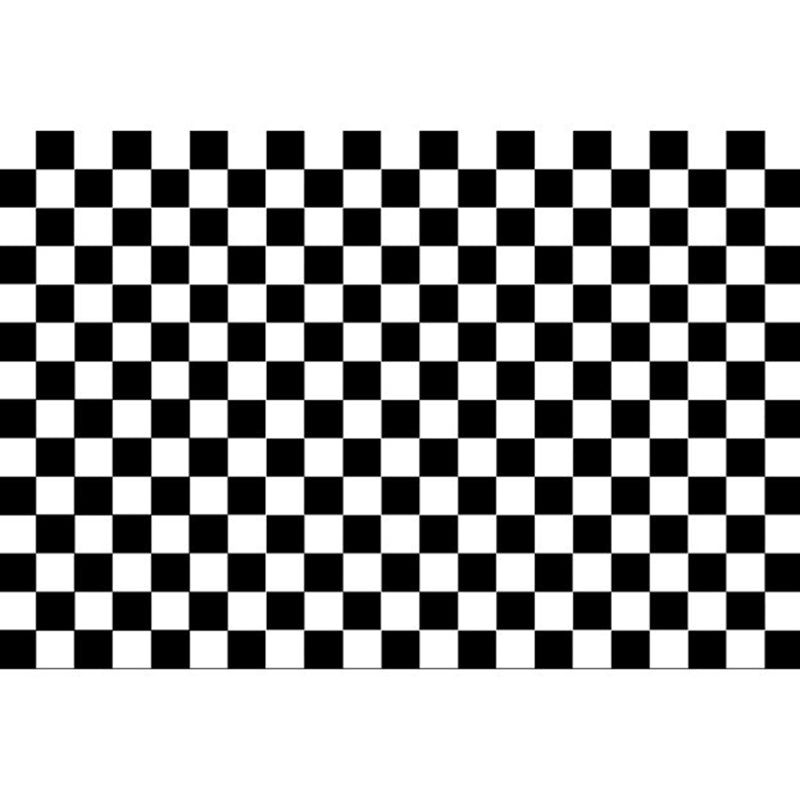 Minimalist Checkered Print Rug Polyester Area Carpet Stain Resistant Carpet for Home Decoration