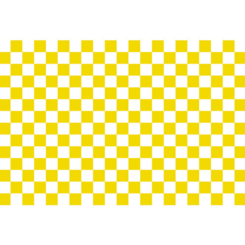 Minimalist Checkered Print Rug Polyester Area Carpet Stain Resistant Carpet for Home Decoration