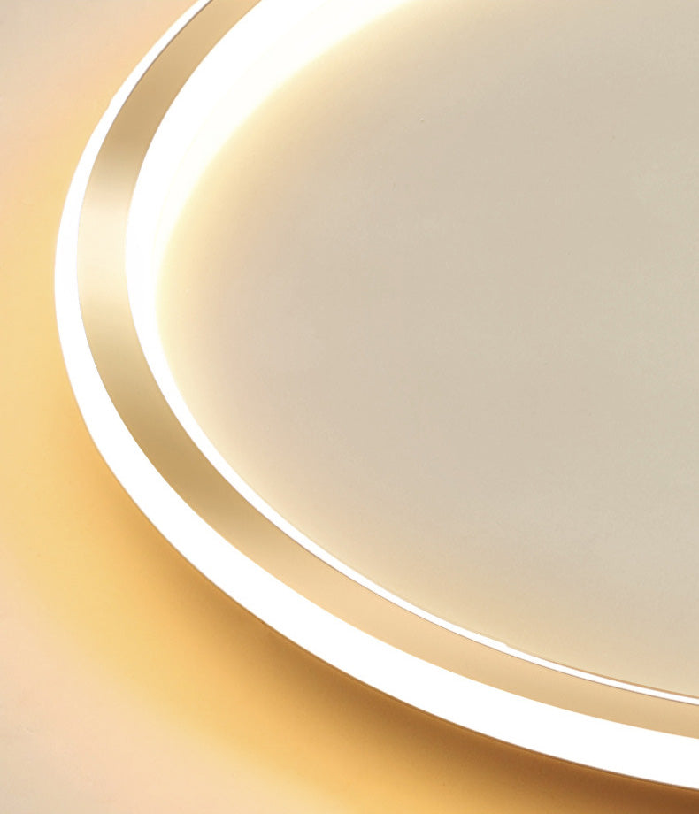 Gold Looped LED Ceiling Fixture Simple Concise Acrylic Flush Mount Lighting for Corridor Porch