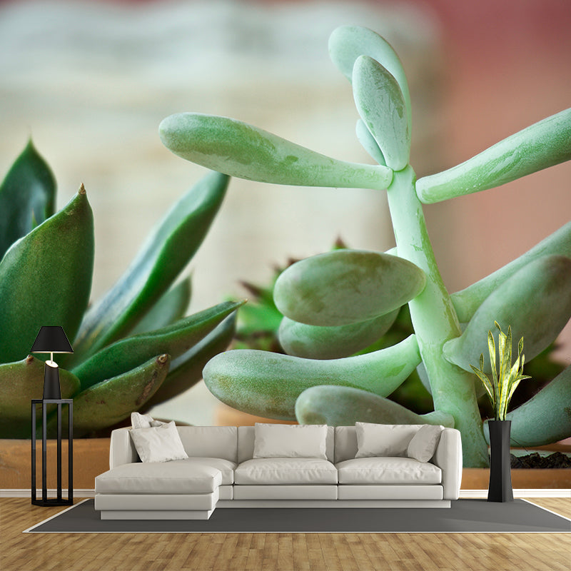 Green Plant Wall Covering Customized Size Wall Mural for Study Room,  Washable