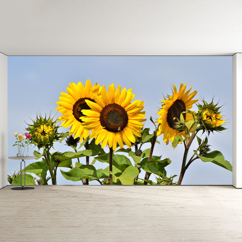 Yellow Sunflower Contemporary Mural Wallpaper for Home Decoration, Waterproofing