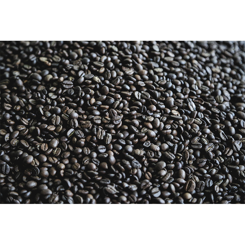 Coffee Beans Simple Wall Mural for Dining Room  Stain Resistant, Made to Measure