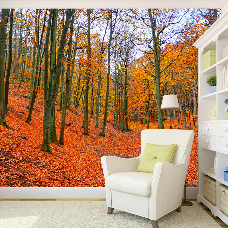 Forest Scenery Wall Mural Modern Home Decor for Sitting Room, Water Resistant