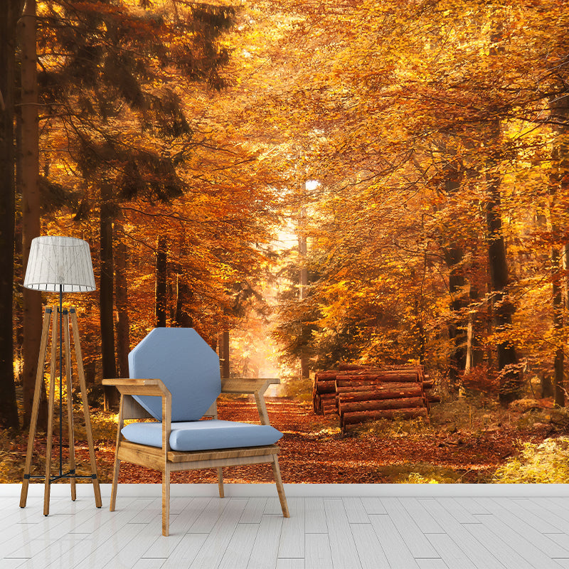 Forest Scenery Wall Mural Modern Home Decor for Sitting Room, Water Resistant