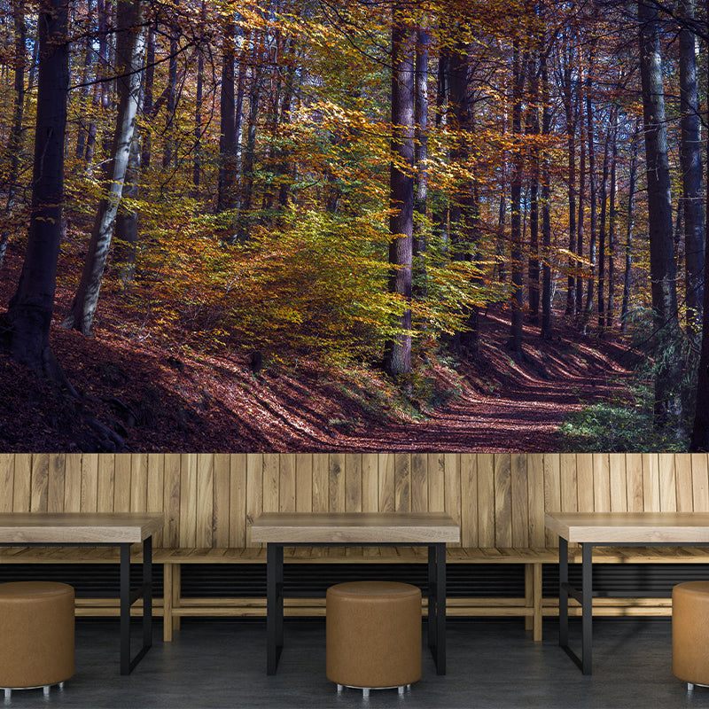 Simple Forest Photo Stain Resistant Mural Decal Modern Wall Decor for Sleeping Room