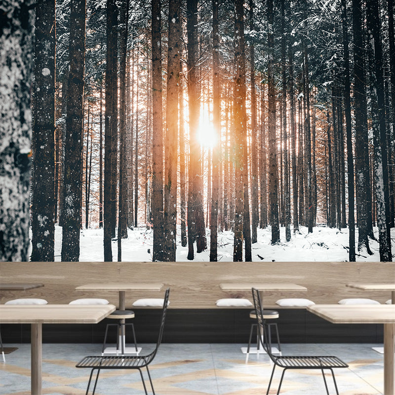 Simple Forest Photo Stain Resistant Mural Decal Modern Wall Decor for Sleeping Room