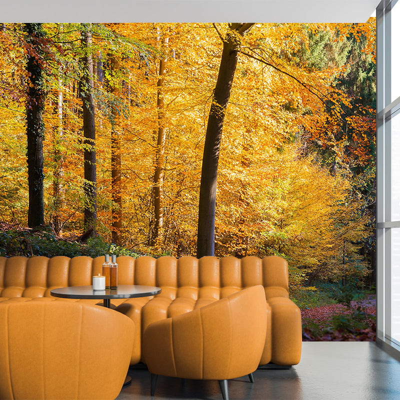 Simple Forest Photo Stain Resistant Mural Decal Modern Wall Decor for Sleeping Room