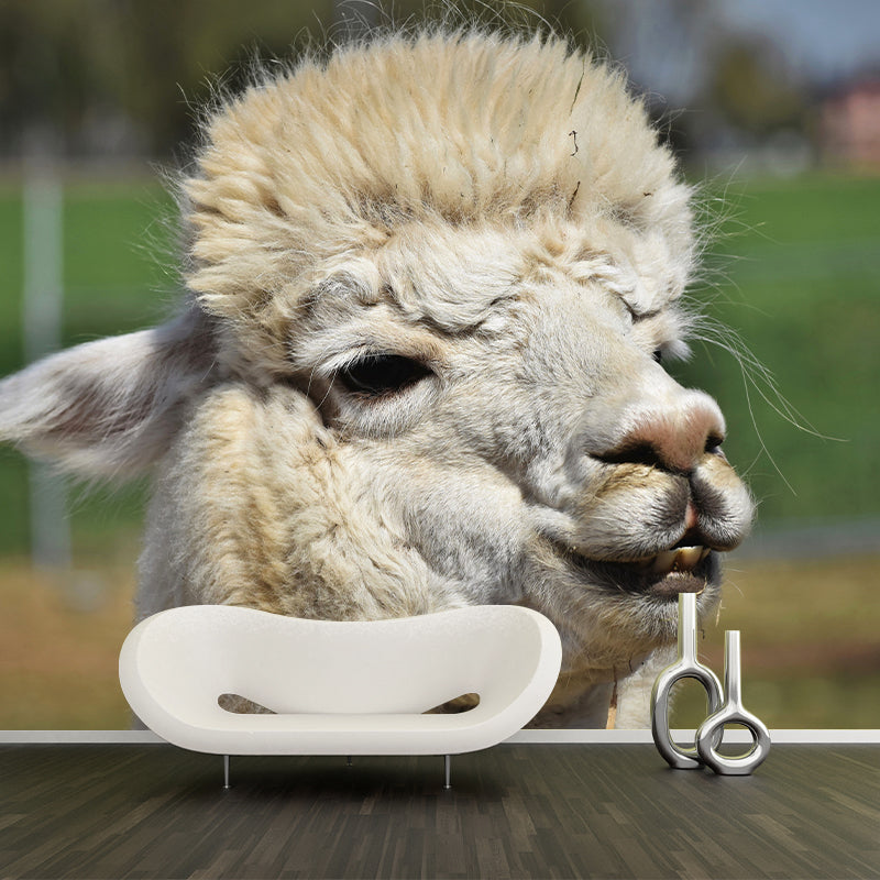 Cute Alpaca Wall Murals for Home Decoration Custom Wall Decor, Waterproofing