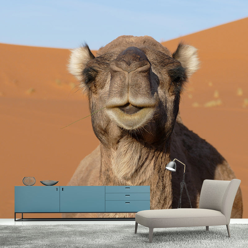 Camel Animal Murals Decal Washable Stain Resistant, Bedroom Wall Decoration