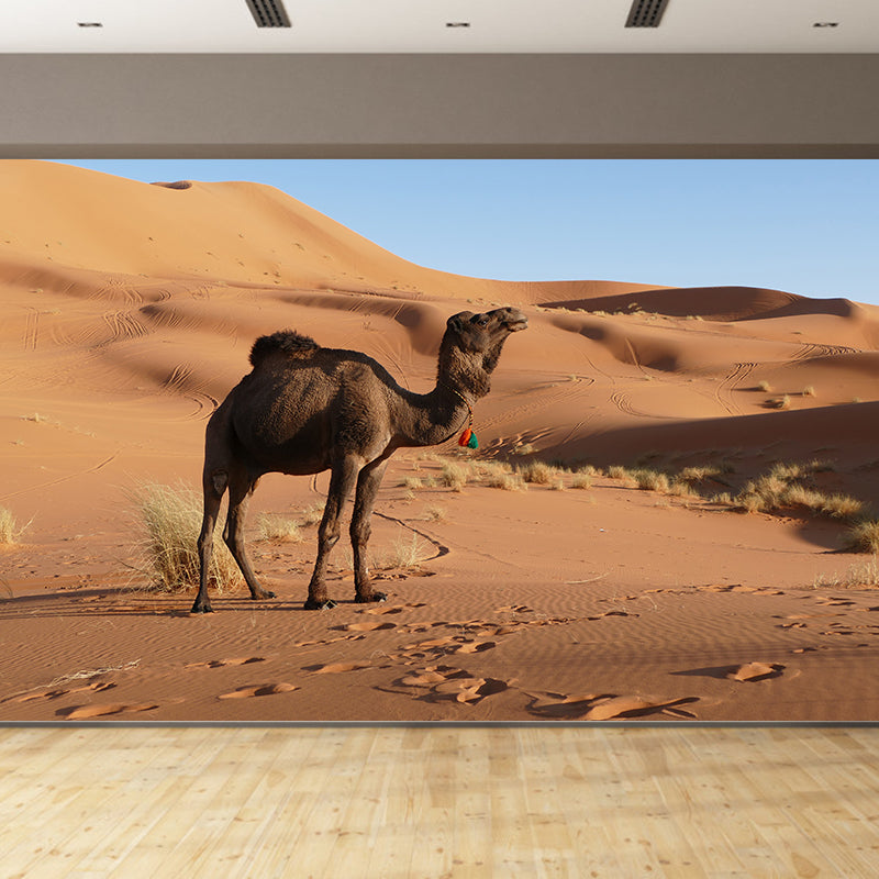 Camel Animal Murals Decal Washable Stain Resistant, Bedroom Wall Decoration