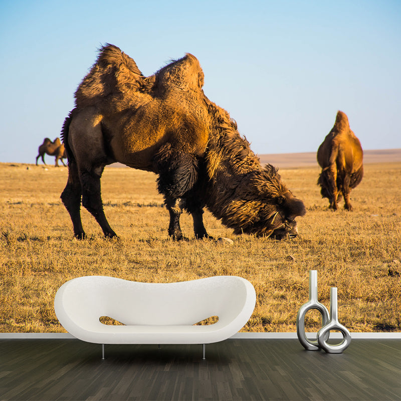 Camel and Desert Stain Resistant Mural Decal Modern Wall Decor for Gust Room