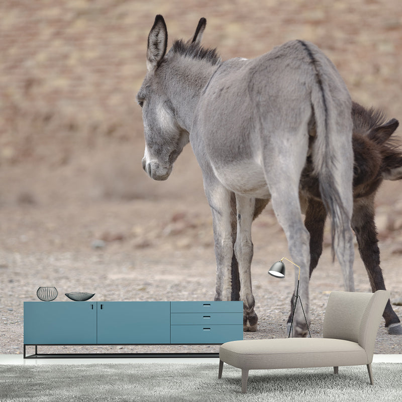 Horse Animal Mural Wallpaper for Home Decor Full Size, Moisture Resistant