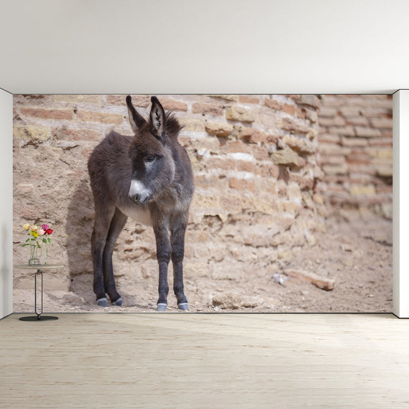 Horse Animal Mural Wallpaper for Home Decor Full Size, Moisture Resistant