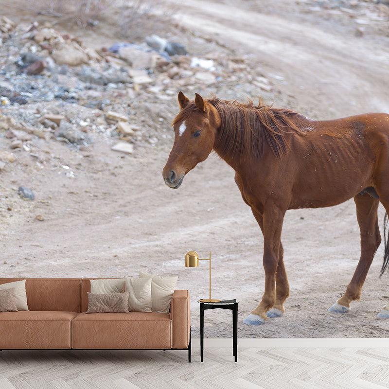 Horse Animal Mural Wallpaper for Home Decor Full Size, Moisture Resistant