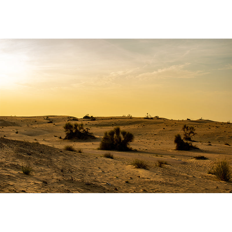 Yellow Desert Scenery Mural Moisture Resistant Wall Art for Sleeping Room
