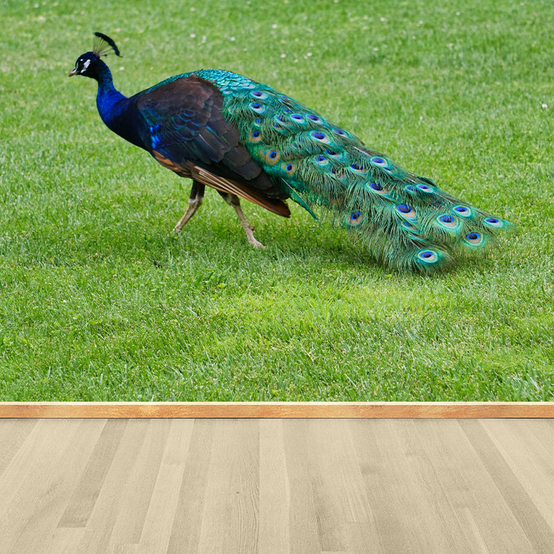 Tropical Peacock Photo Moisture Resistant Mural Decal Modern Wall Decor for Bedroom