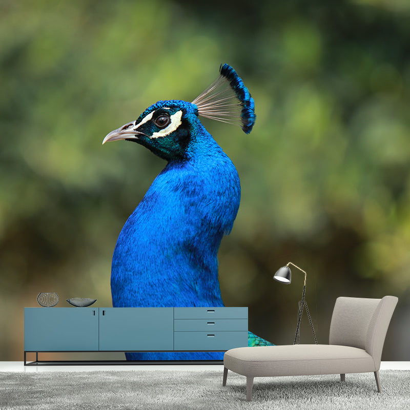 Blue Peacock Mural Decal Modern Style Washable Home Decor, Custom Size