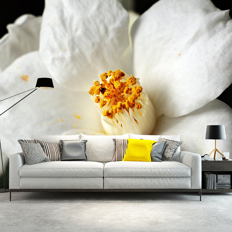 Camellia Mural Decal Contemporary Wallpaper Eco-friendly Wall Decor for Bedroom