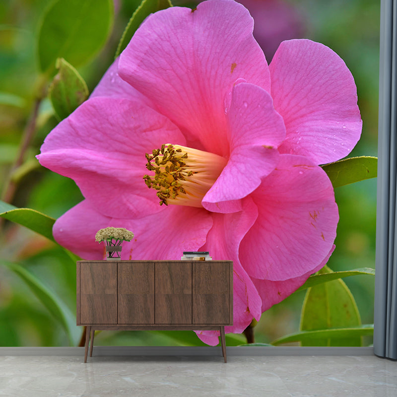 Camellia Mural Decal Contemporary Wallpaper Eco-friendly Wall Decor for Bedroom