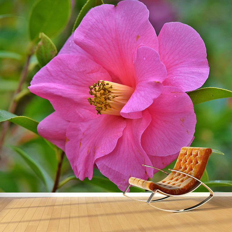 Camellia Mural Decal Contemporary Wallpaper Eco-friendly Wall Decor for Bedroom