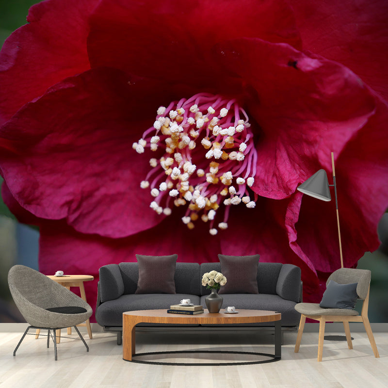 Camellia Mural Decal Contemporary Wallpaper Eco-friendly Wall Decor for Bedroom