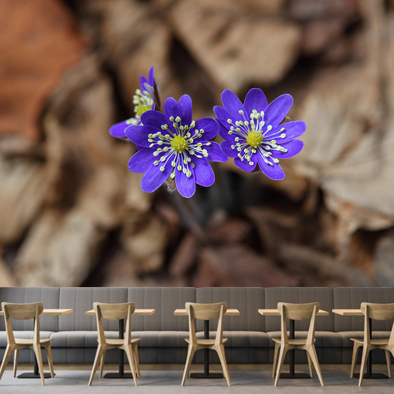 Wildflowers Mural Decal Contemporary Wallpaper Eco-friendly Wall Decor for Bedroom