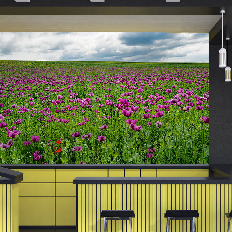 Poppies Flowe Mural Decal Contemporary Wallpaper Eco-friendly Wall Decor for Bedroom