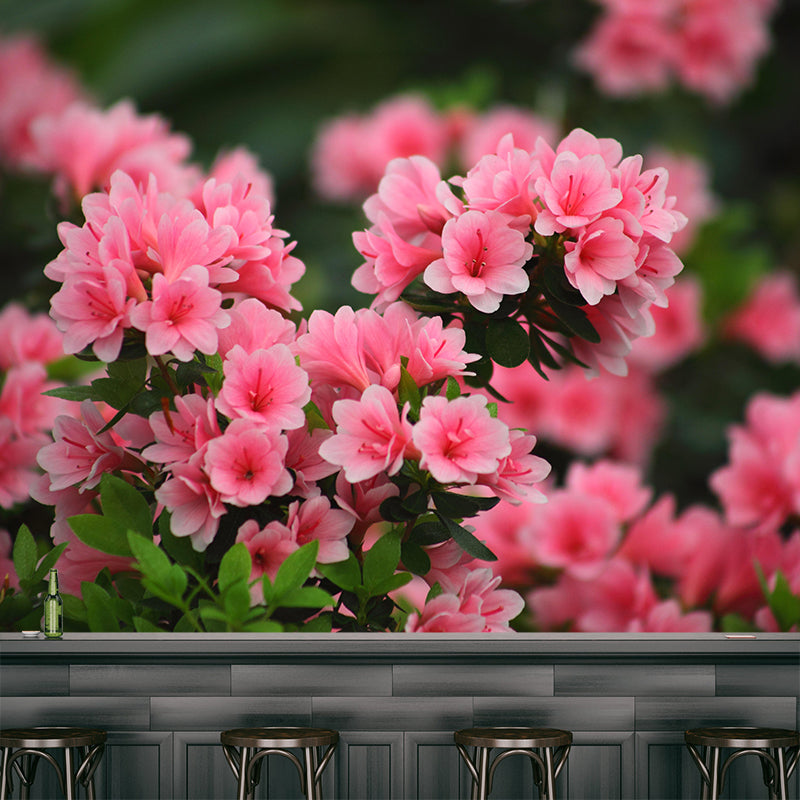 Azalea Flowe Mural Decal Contemporary Wallpaper Eco-friendly Wall Decor for Bedroom