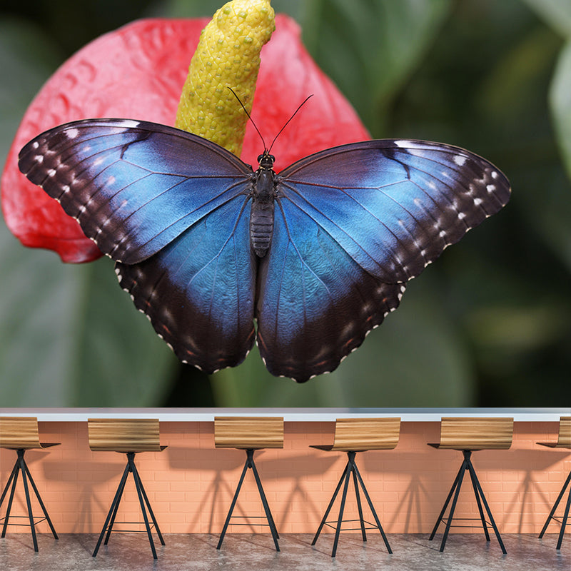 Photography Butterfly Mural Wallpaper Moisture Resistant for Living Room Bedroom