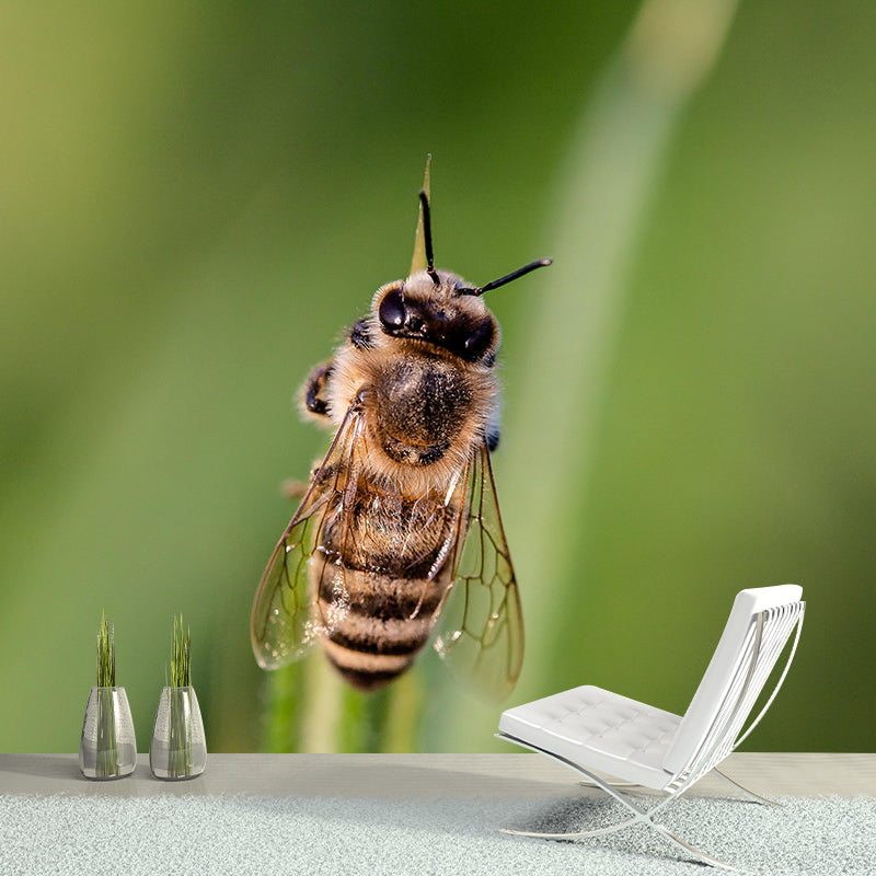Hardworking Bee Mural Wallpaper Moisture Resistant for Living Room Bedroom
