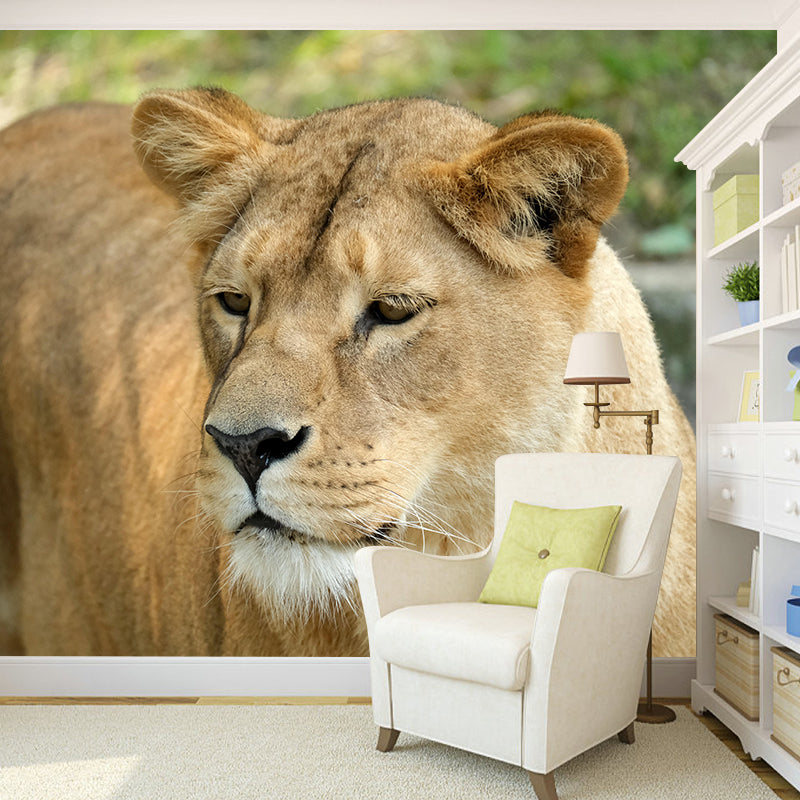 Lioness Mural Decal Contemporary Wallpaper Eco-friendly Wall Decor for Bedroom