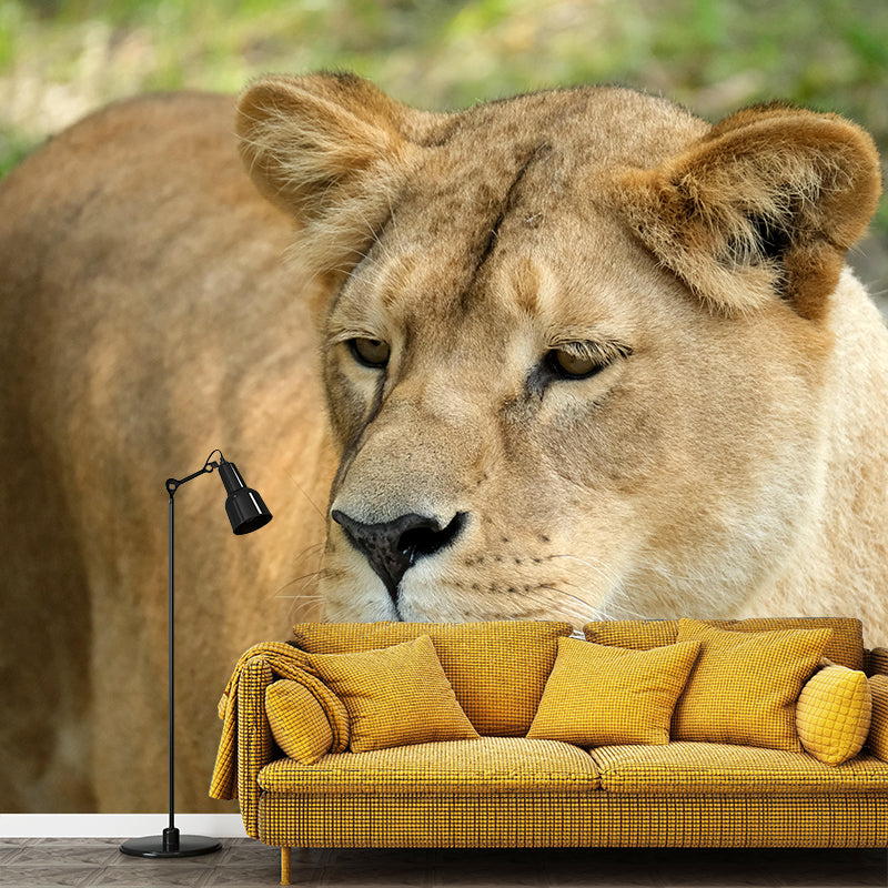 Lioness Mural Decal Contemporary Wallpaper Eco-friendly Wall Decor for Bedroom