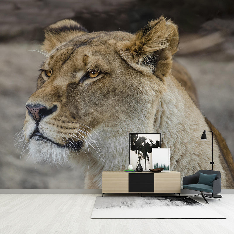 Lioness Mural Decal Contemporary Wallpaper Eco-friendly Wall Decor for Bedroom