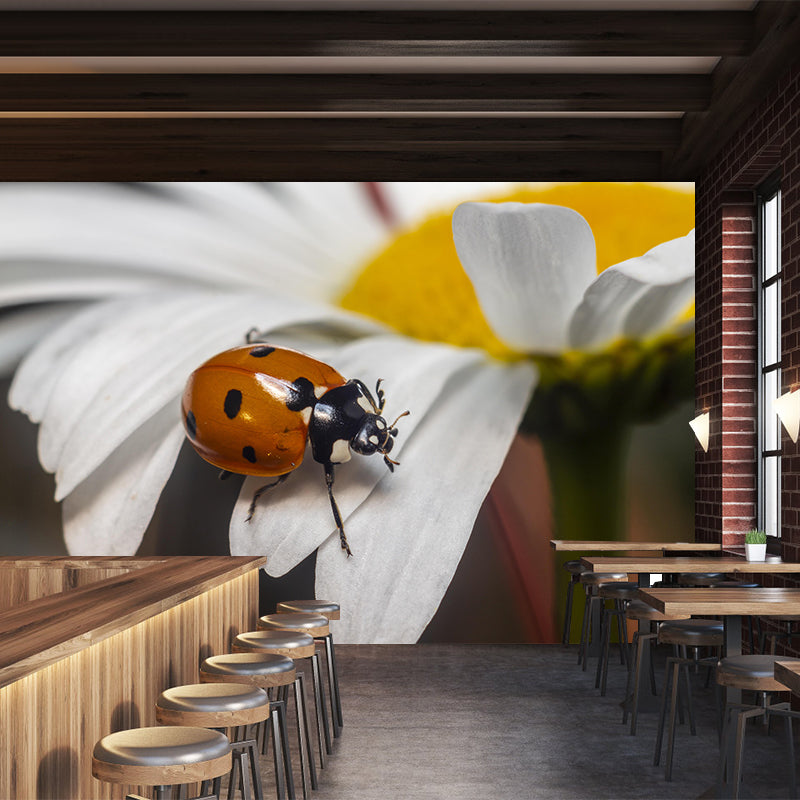 Little Ladybug Mural Wallpaper Moisture Resistant for Living Room Bedroom