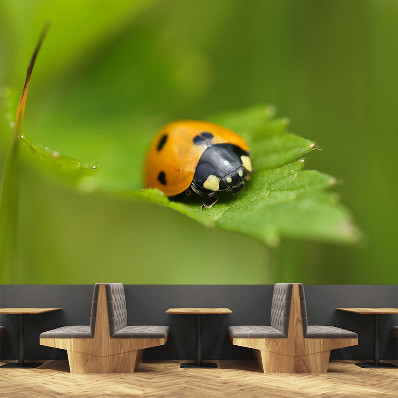 Little Ladybug Mural Wallpaper Moisture Resistant for Living Room Bedroom