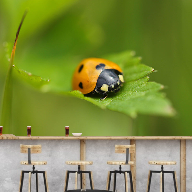 Little Ladybug Mural Wallpaper Moisture Resistant for Living Room Bedroom