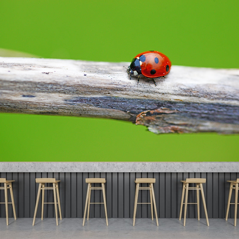 Little Ladybug Mural Wallpaper Moisture Resistant for Living Room Bedroom